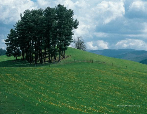 Load image into Gallery viewer, West Virginia by Schiffer Publishing
