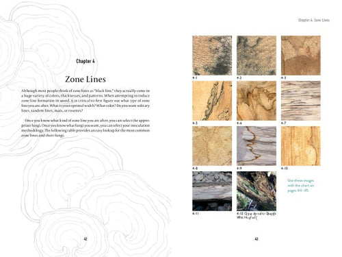 Load image into Gallery viewer, Spalting 101 by Schiffer Publishing
