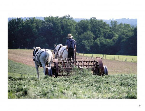 Load image into Gallery viewer, Lancaster County: Out and About by Schiffer Publishing
