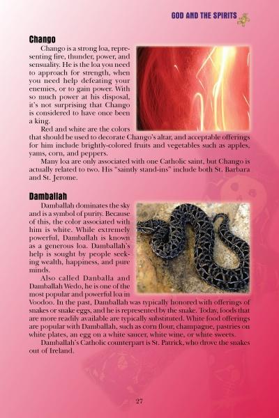 Load image into Gallery viewer, Everyday Voodoo by Schiffer Publishing

