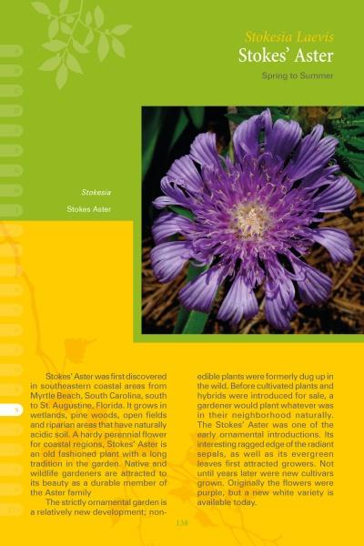 Load image into Gallery viewer, Coastal Garden Plants by Schiffer Publishing
