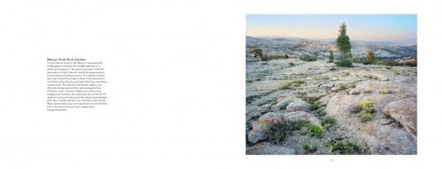 Load image into Gallery viewer, High Sierra by Schiffer Publishing
