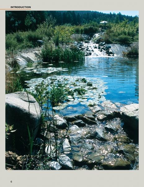 Load image into Gallery viewer, Water Gardens and Natural Pools by Schiffer Publishing
