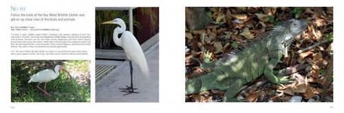 Load image into Gallery viewer, 101 Things to Do in Key West by Schiffer Publishing
