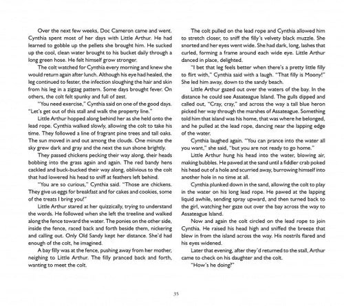 Load image into Gallery viewer, The True Story of Miracle Man by Schiffer Publishing

