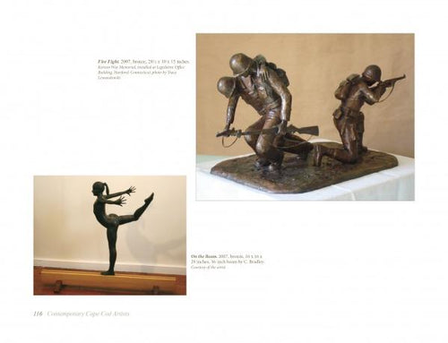 Load image into Gallery viewer, Contemporary Cape Cod Artist by Schiffer Publishing
