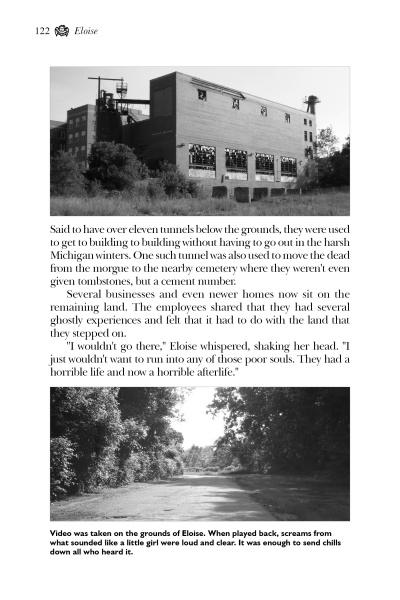 Load image into Gallery viewer, Ghosts of Southeast Michigan by Schiffer Publishing
