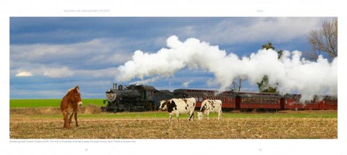 Load image into Gallery viewer, Seasons of Lancaster County by Schiffer Publishing
