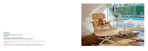 Load image into Gallery viewer, Palm Springs Modern Dogs at Home by Schiffer Publishing
