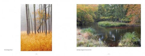 Load image into Gallery viewer, Pinelands by Schiffer Publishing
