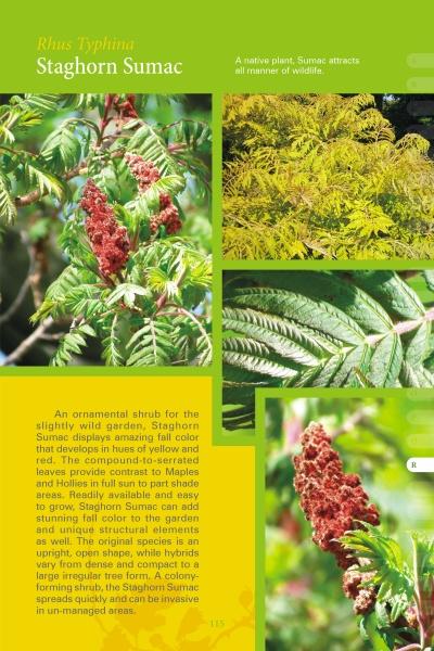 Load image into Gallery viewer, Coastal Garden Plants by Schiffer Publishing
