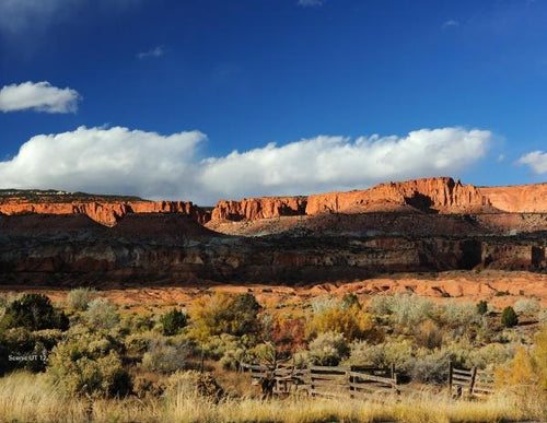 Load image into Gallery viewer, Southwest Reflections by Schiffer Publishing
