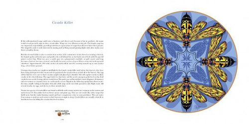 Load image into Gallery viewer, Nature Mandalas Wonders of the Garden by Schiffer Publishing
