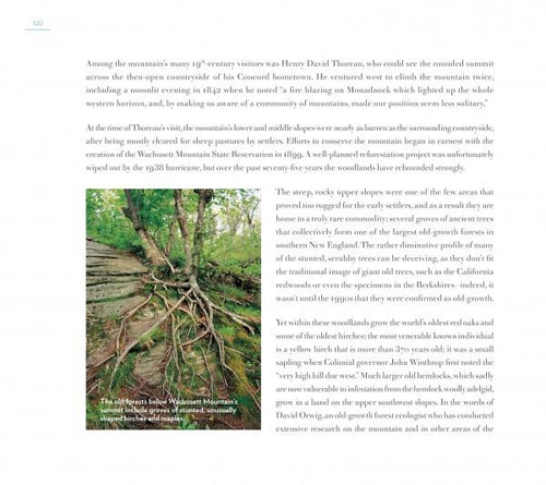 Load image into Gallery viewer, Central Massachusetts Perspectives by Schiffer Publishing

