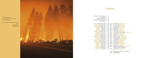 Load image into Gallery viewer, Terra Flamma by Schiffer Publishing
