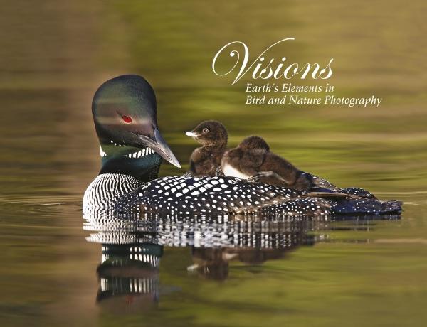 Visions by Schiffer Publishing