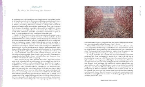 Load image into Gallery viewer, Out in Blue Fields by Schiffer Publishing
