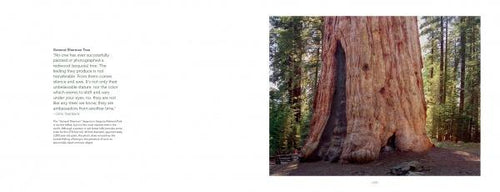 Load image into Gallery viewer, High Sierra by Schiffer Publishing
