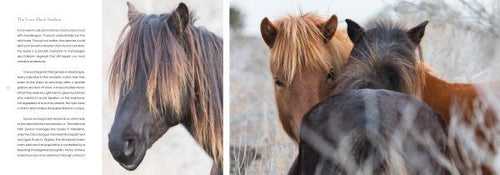 Load image into Gallery viewer, Natural Wonders of Assateague Island by Schiffer Publishing
