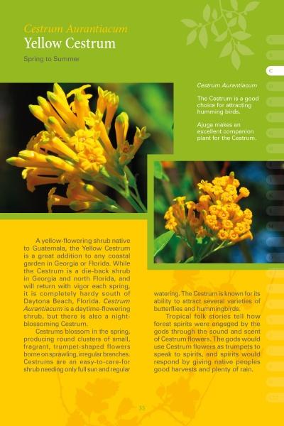 Load image into Gallery viewer, Coastal Garden Plants by Schiffer Publishing

