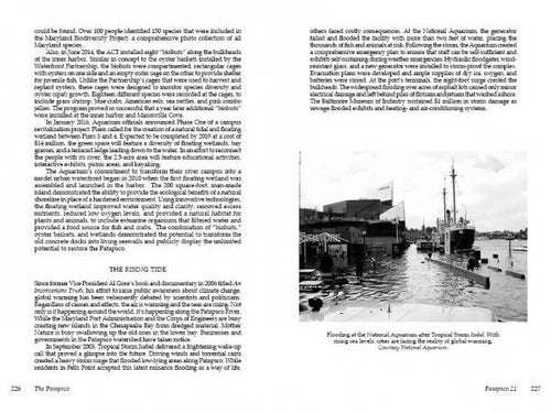 Load image into Gallery viewer, The Patapsco by Schiffer Publishing
