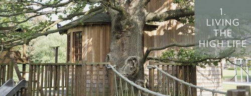 Load image into Gallery viewer, Tree Houses Reimagined by Schiffer Publishing
