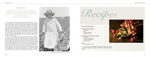 Load image into Gallery viewer, Cape Cod and the Islands by Schiffer Publishing
