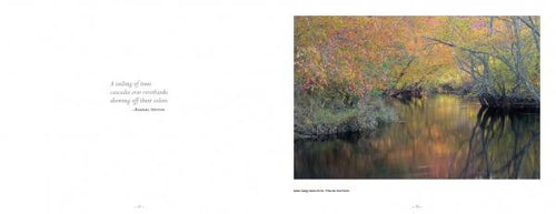 Load image into Gallery viewer, Pinelands by Schiffer Publishing
