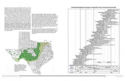 Load image into Gallery viewer, Collector's Guide to Texas Cretaceous Echinoids by Schiffer Publishing
