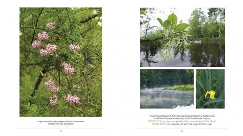 Load image into Gallery viewer, Choptank Odyssey by Schiffer Publishing
