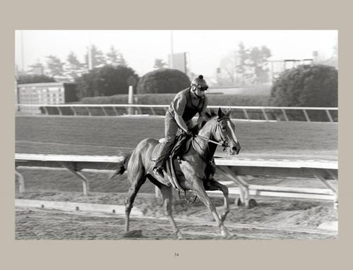 Load image into Gallery viewer, Horse Racing by Schiffer Publishing
