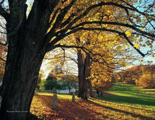Load image into Gallery viewer, New England by Schiffer Publishing
