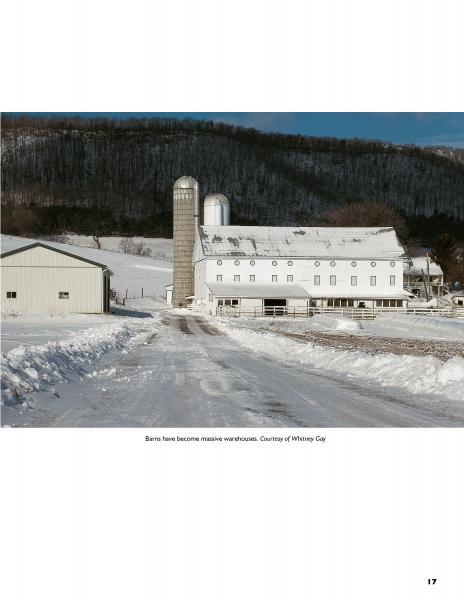 Load image into Gallery viewer, Barn Again by Schiffer Publishing
