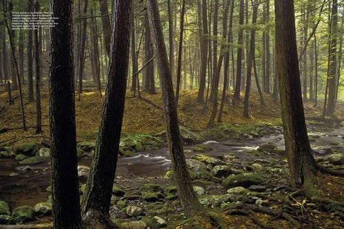 Load image into Gallery viewer, The Poconos by Schiffer Publishing
