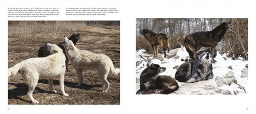 Load image into Gallery viewer, Wolf Sanctuary by Schiffer Publishing
