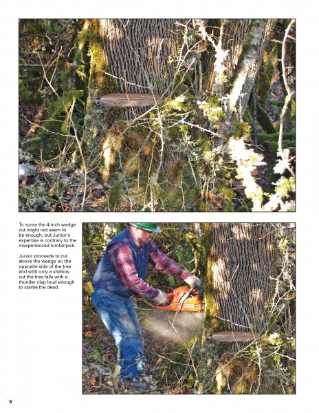 Load image into Gallery viewer, Wood Turning, from Tree to Table by Schiffer Publishing
