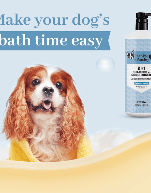 Load image into Gallery viewer, 2-in-1 Shampoo + Conditioner Oatmeal &amp; Aloe - 32oz by  Los Angeles Brands
