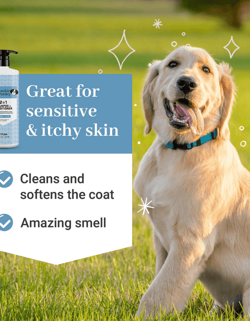 Load image into Gallery viewer, 2-in-1 Shampoo + Conditioner Oatmeal &amp; Aloe - 32oz by  Los Angeles Brands
