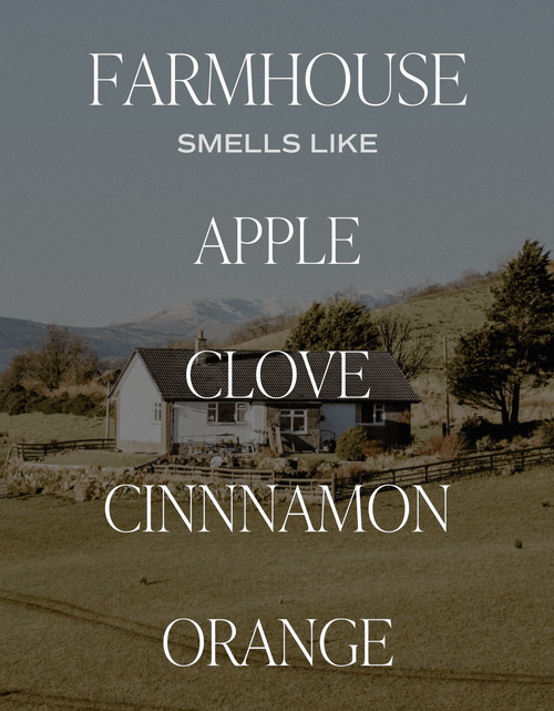 Load image into Gallery viewer, Farmhouse Clear Reed Diffuser by Sweet Water Decor
