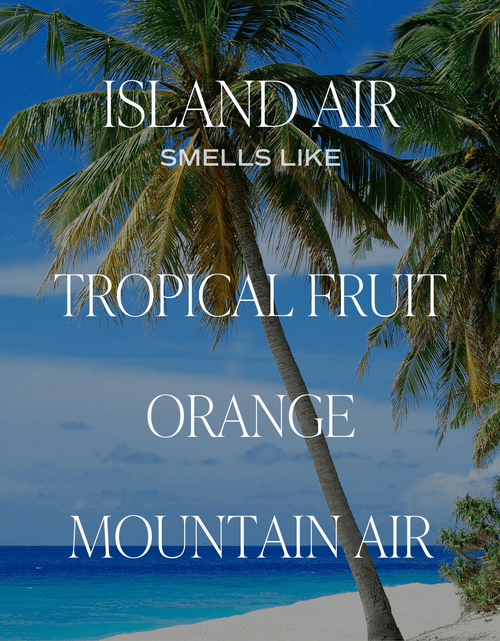 Load image into Gallery viewer, Island Air Clear Reed Diffuser by Sweet Water Decor
