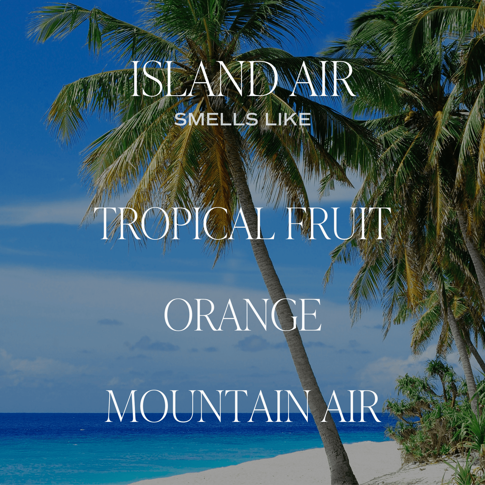 Island Air Clear Reed Diffuser by Sweet Water Decor