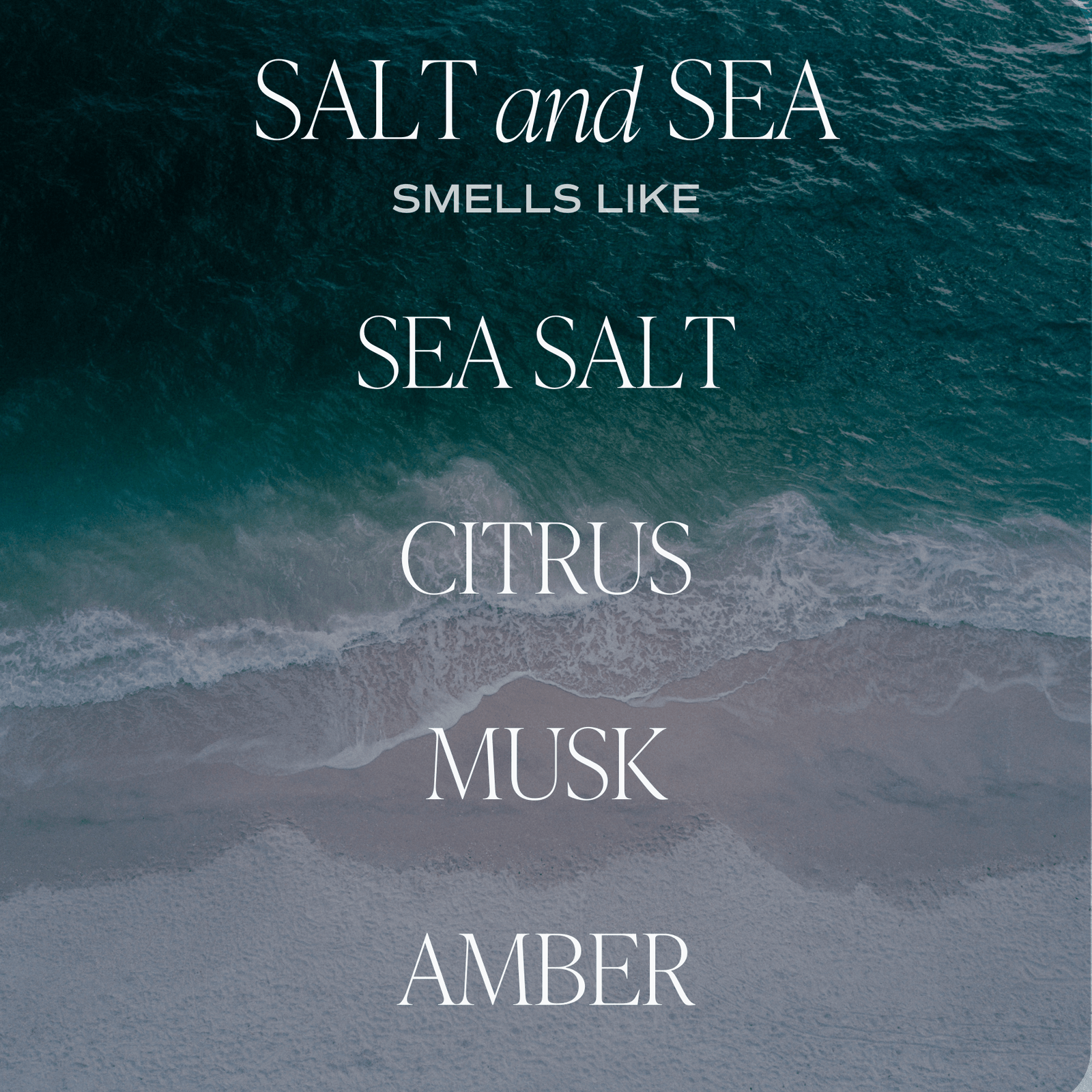 Salt and Sea Clear Reed Diffuser by Sweet Water Decor
