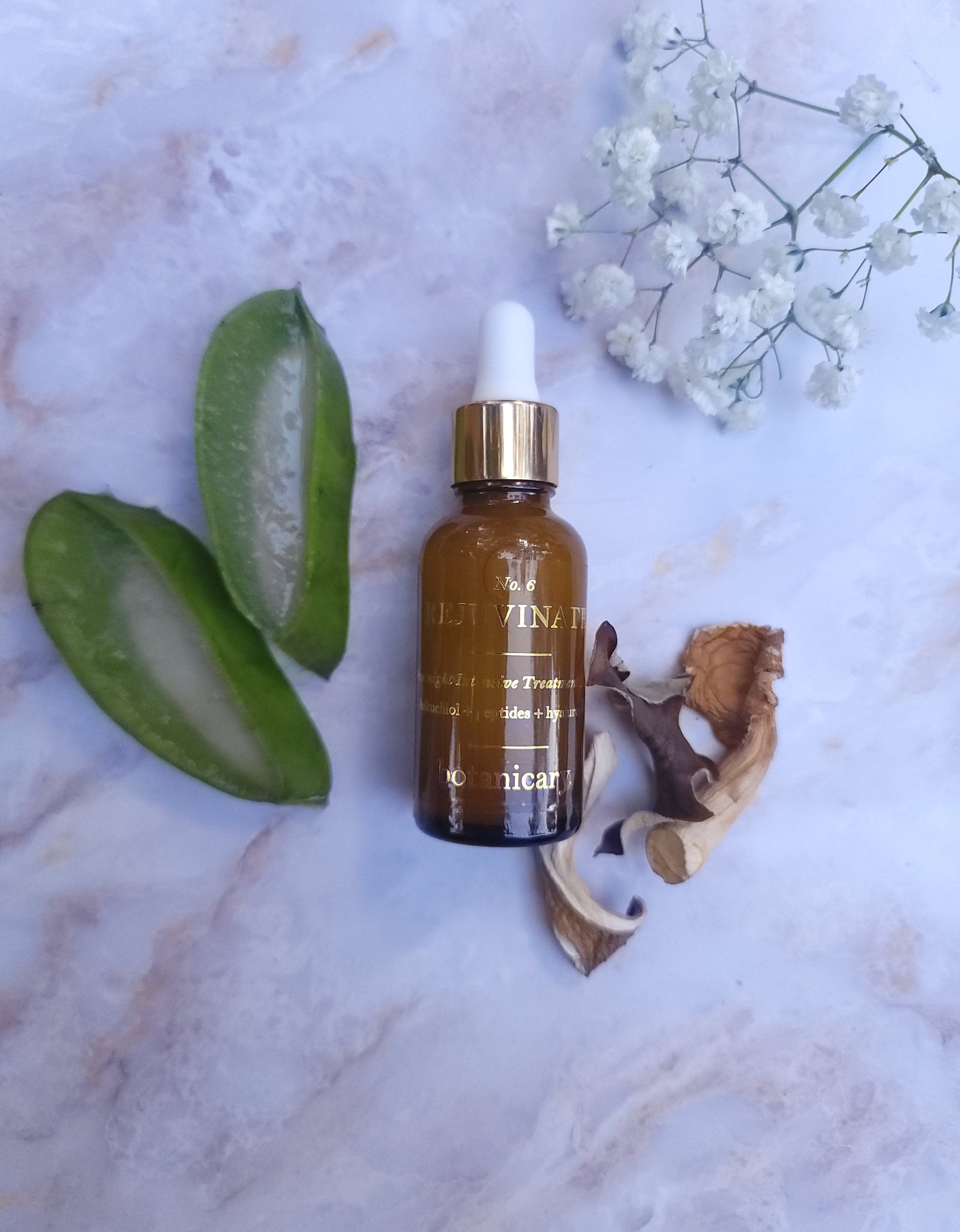 No. 6 REJUVENATE - Overnight Intensive Treatment Elixir by Botanicary Skincare