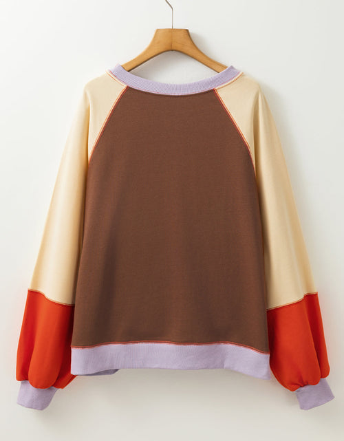 Load image into Gallery viewer, Color Block Round Neck Long Sleeve Sweatshirt
