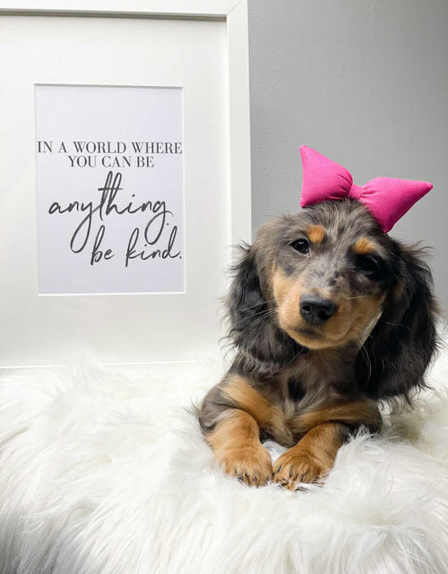 Load image into Gallery viewer, In A World Where You Can Be Anything Be Kind Inspirational Wall Decor Home Quote Print by WinsterCreations™ Official Store
