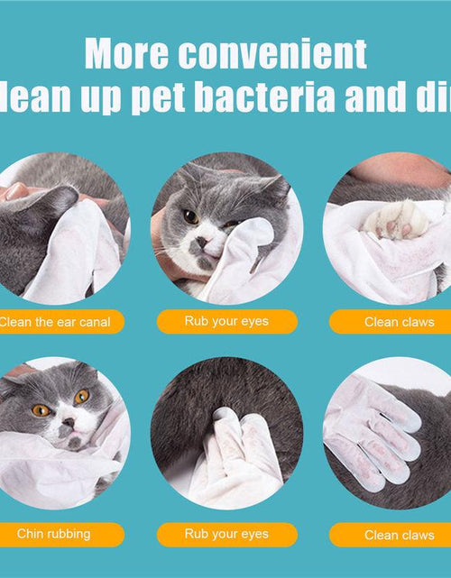 Load image into Gallery viewer, Pet Care Essentials: 6-Pack Of Disposable Non-Woven Gloves For A Clean And Happy Home by Dog Hugs Cat
