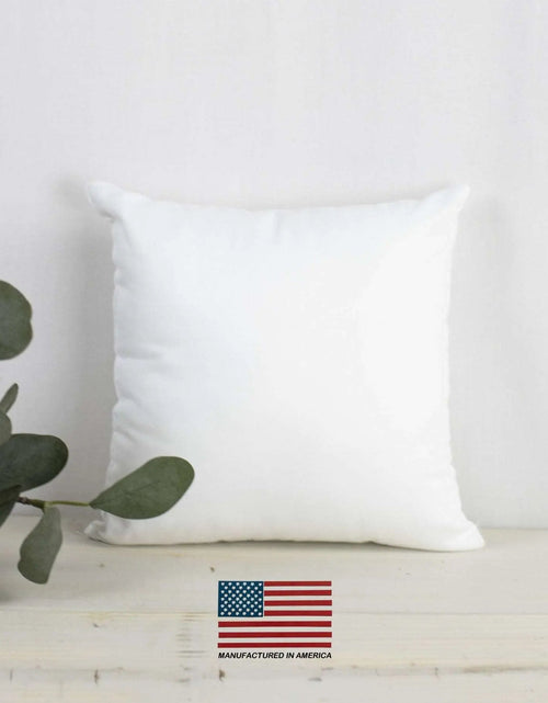 Load image into Gallery viewer, 29x29 | Indoor Outdoor Hypoallergenic Polyester Pillow Insert | Quality Insert | Pillow Inners | Throw Pillow Insert | Square Pillow Inserts by UniikPillows
