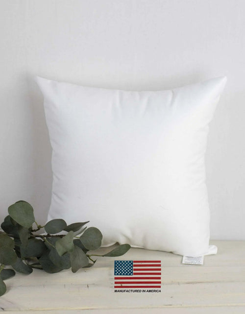 Load image into Gallery viewer, 29x29 | Indoor Outdoor Hypoallergenic Polyester Pillow Insert | Quality Insert | Pillow Inners | Throw Pillow Insert | Square Pillow Inserts by UniikPillows
