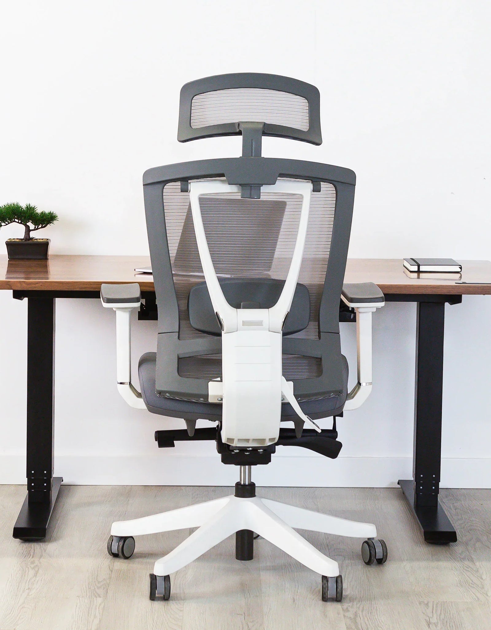 AeryChair Ergonomic Office Chair by EFFYDESK by Level Up Desks