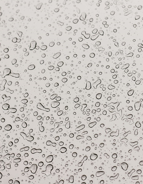Load image into Gallery viewer, No. 2 REFRESH - Orchid Stem Cell &amp; Vitamin C Essence by Botanicary Skincare
